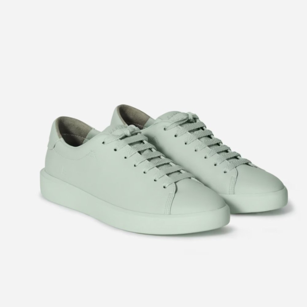 Everlane ReLeather Tennis Shoe in Lily Green - Size 7.5